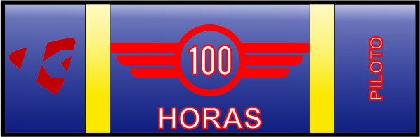 piloto 100 horas